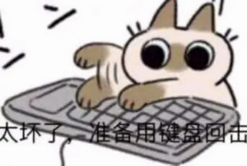 6r3p.png