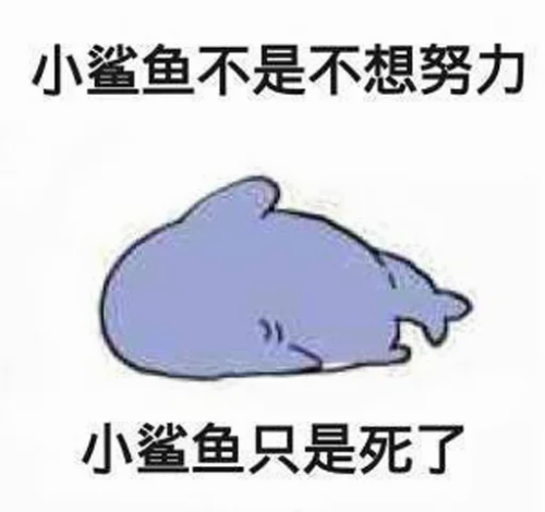 KOe2.png