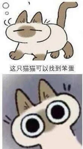 NcSC.png