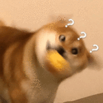 YqTk.gif