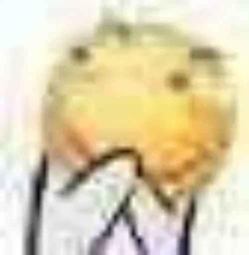 jOei.png