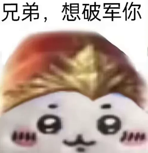 pZTr-1.png